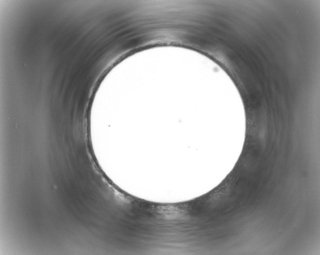 X0000066490807200603201255
