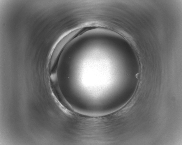 X0000066490816200603201255