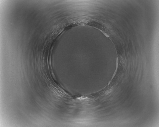 X0000066490818200603201254