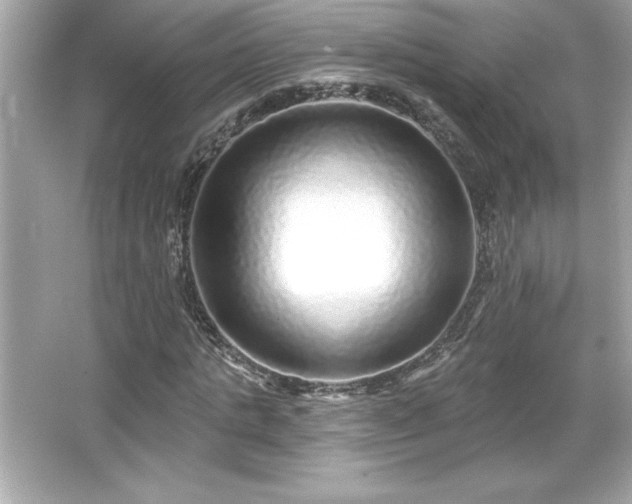 X0000066490821200603201254