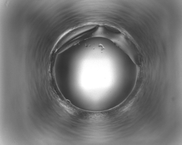 X0000066490830200603201255