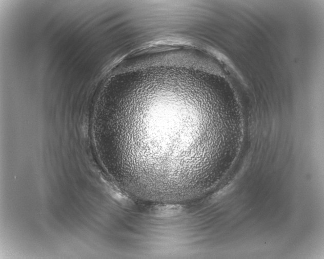 X0000066490833200603201255