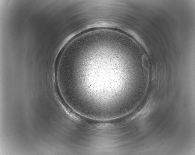 X0000066490837200603201255