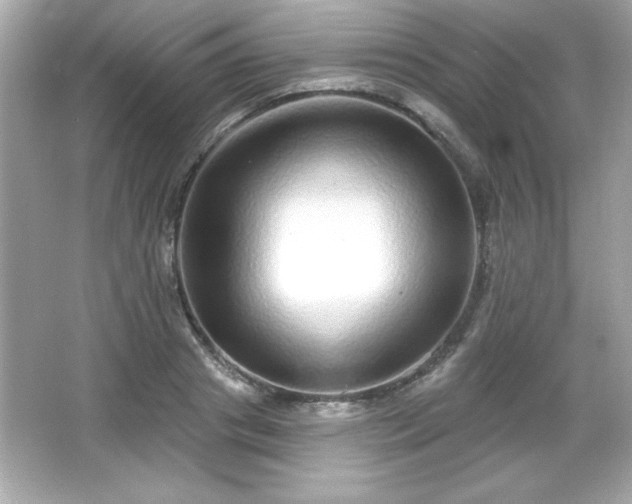 X0000066490841200603201255