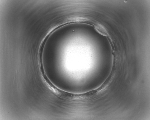 X0000066490843200603201255