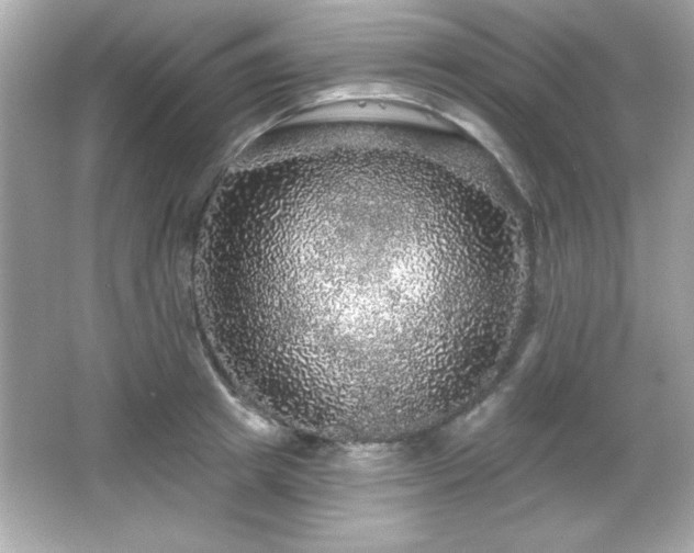 X0000066490849200603201255