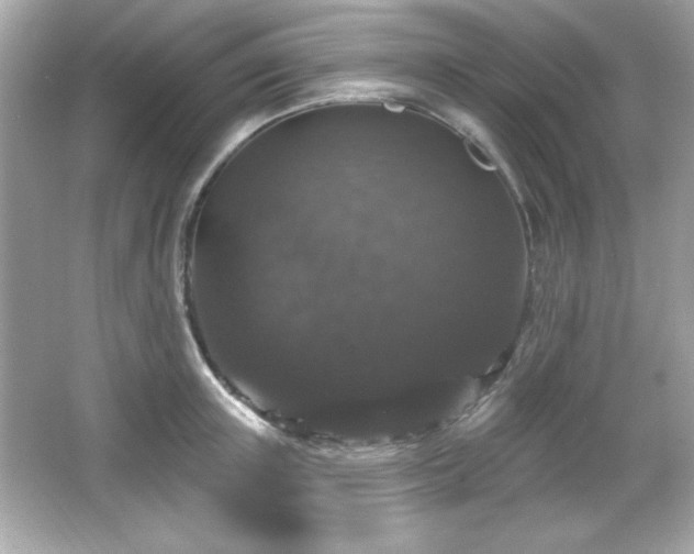 X0000066490851200603201255