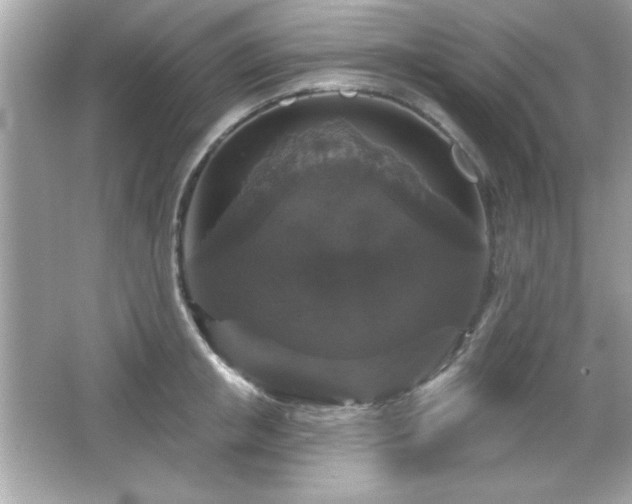X0000066490853200603201255