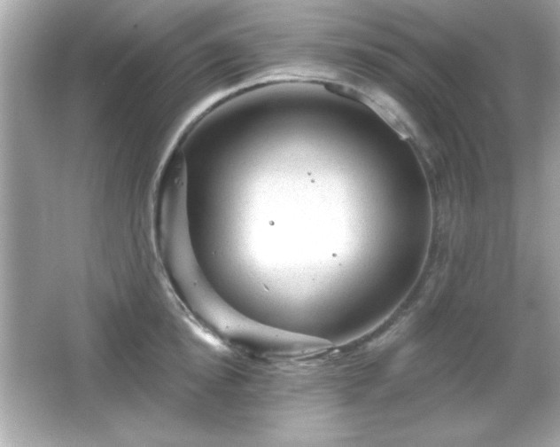 X0000066490854200603201255