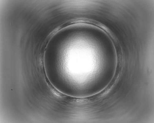 X0000066490857200603201255