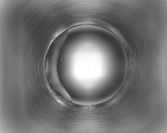 X0000066490858200603201255