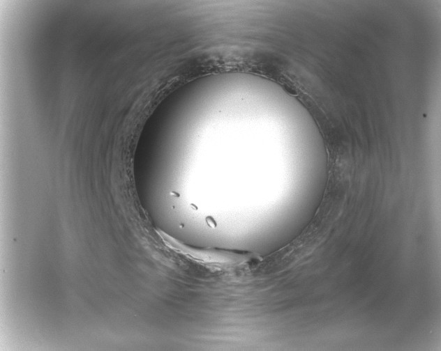 X0000066490865200603201254