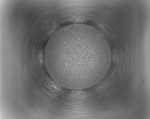 X0000066490866200603201254