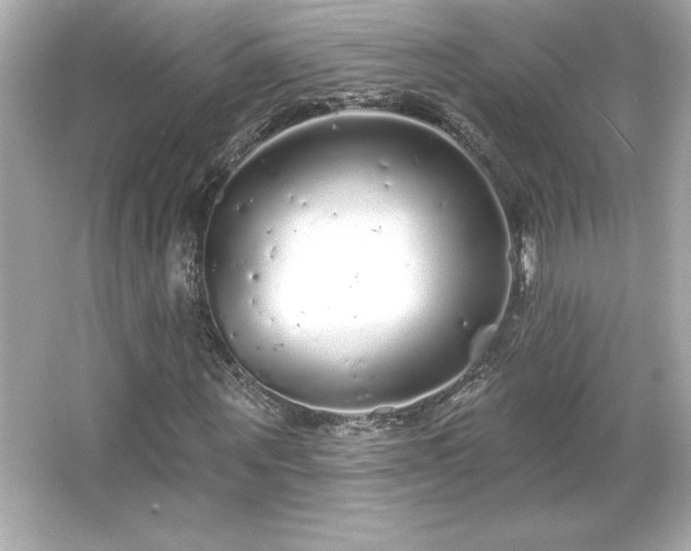X0000066490867200603201254