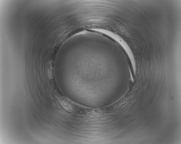 X0000066490868200603201254