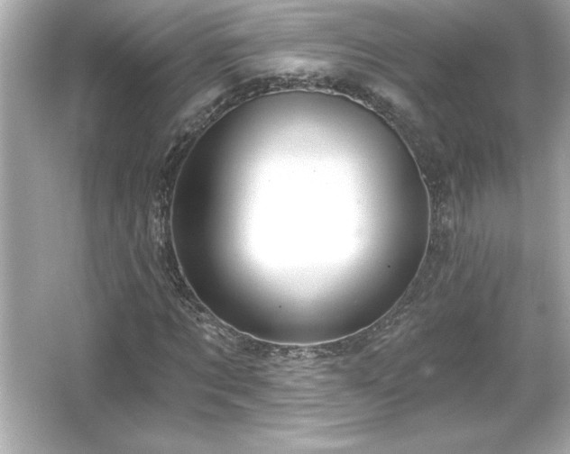 X0000066490869200603201254