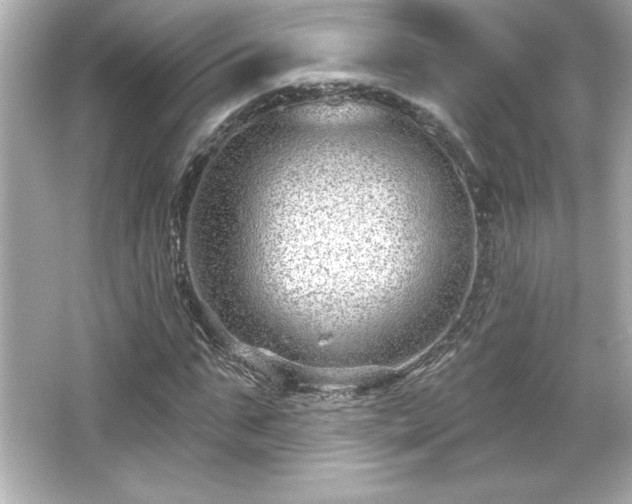 X0000066490871200603201254