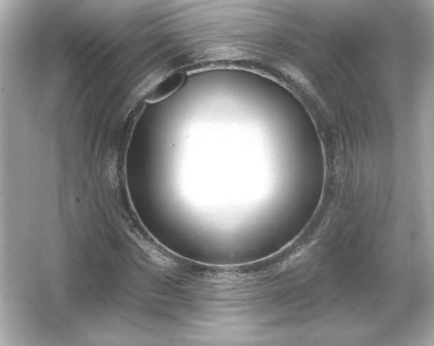 X0000066490873200603201254