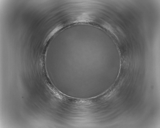X0000066490874200603201254
