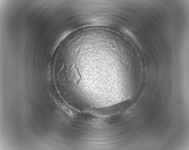 X0000066490875200603201254