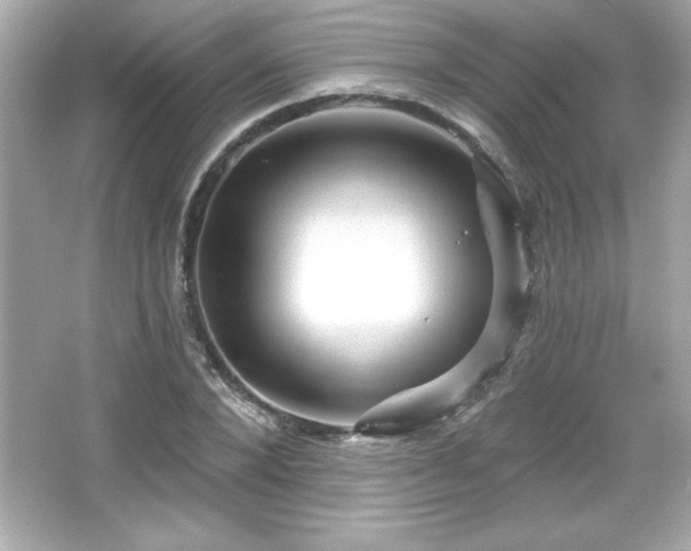 X0000066490880200603201254