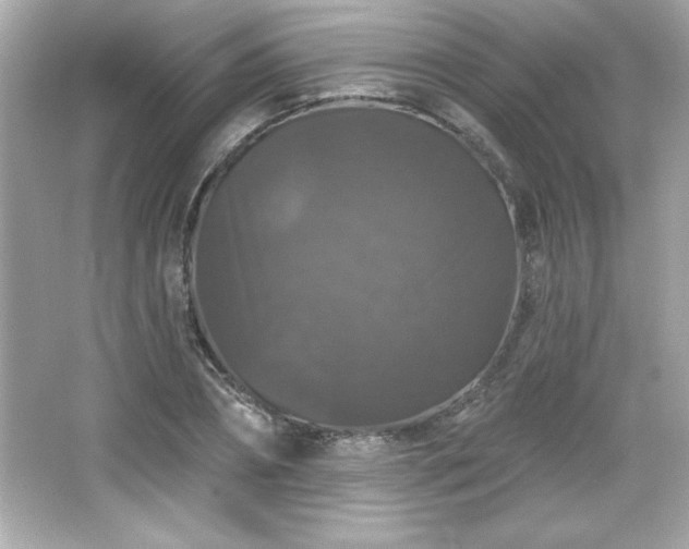 X0000066490882200603201254