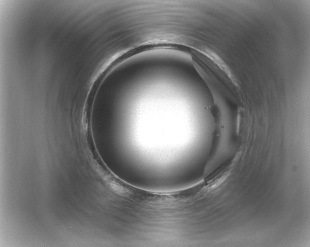 X0000066490885200603201254