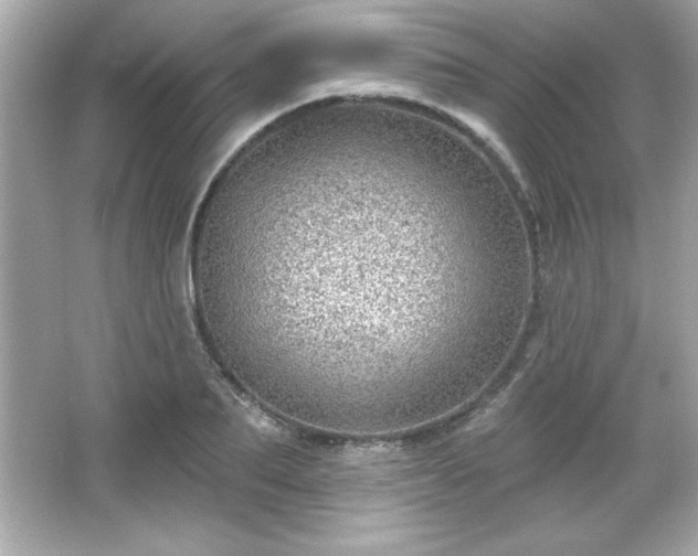 X0000066490887200603201254