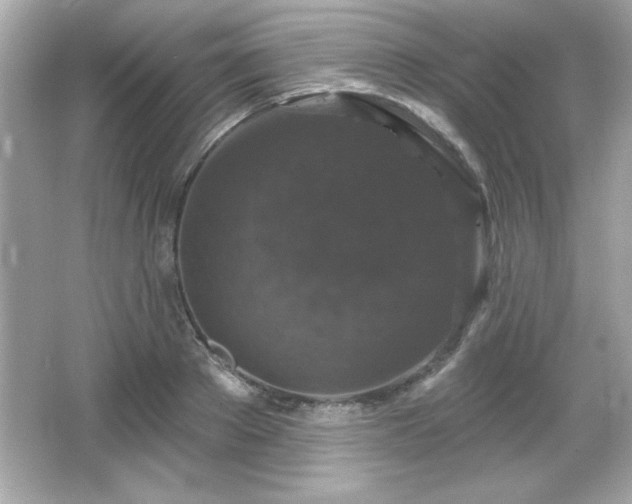 X0000066490889200603201254