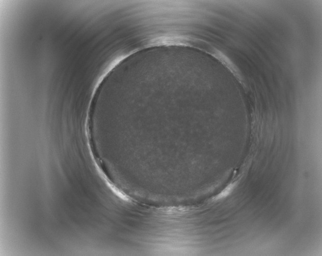 X0000066490893200603201254