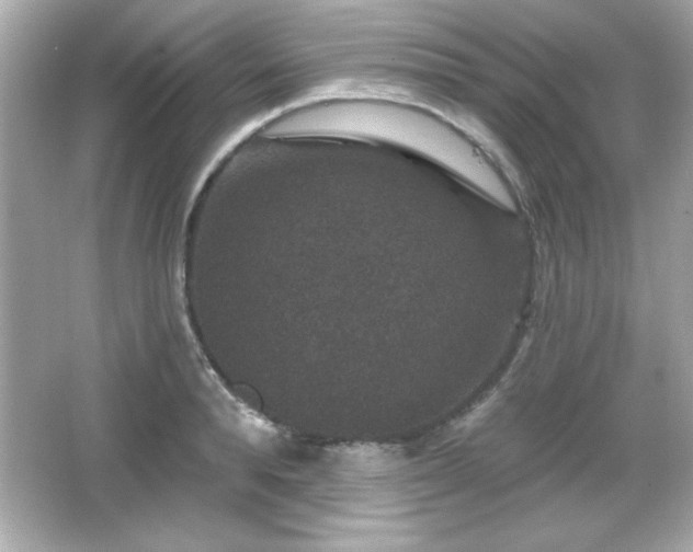 X0000066490896200603201254