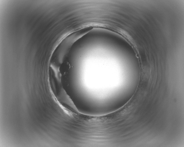 X0000066490898200603201254