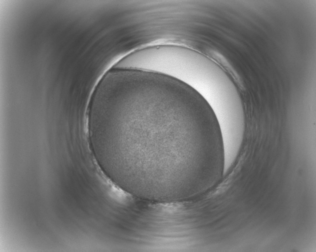 X0000066490900200603201254