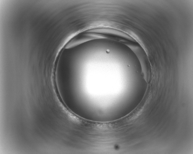X0000066490901200603201254
