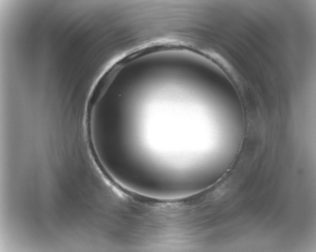 X0000066490902200603201254