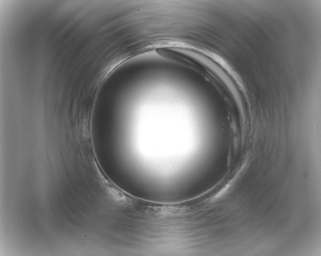 X0000066490905200603201254