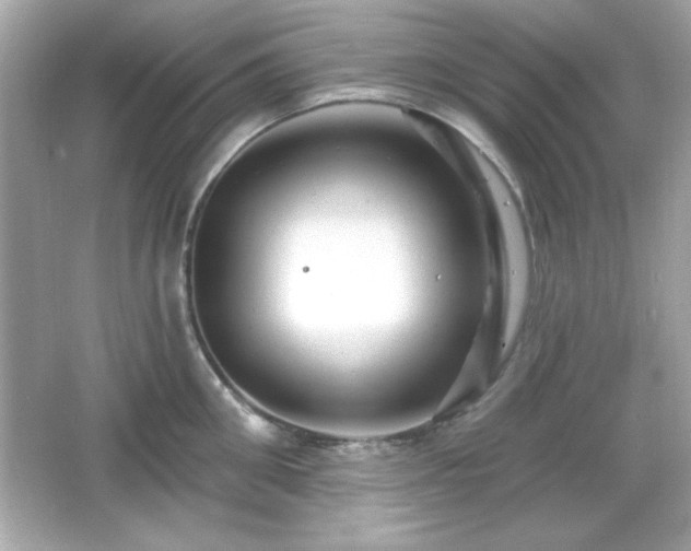 X0000066490906200603201254