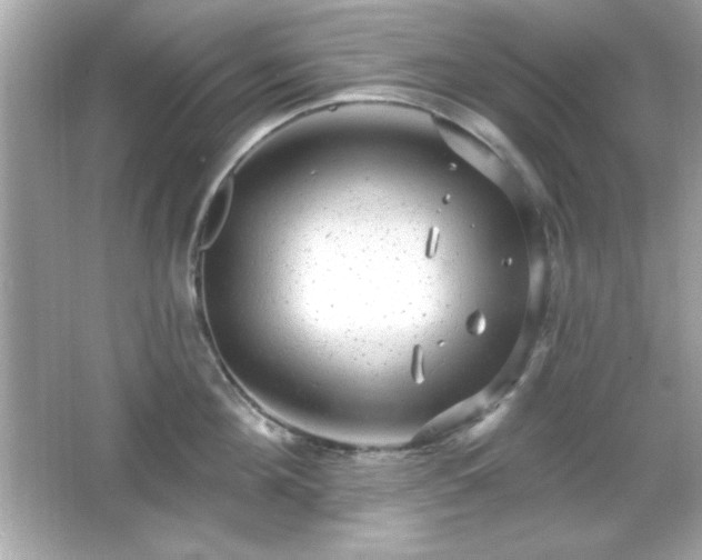 X0000066490908200603201254