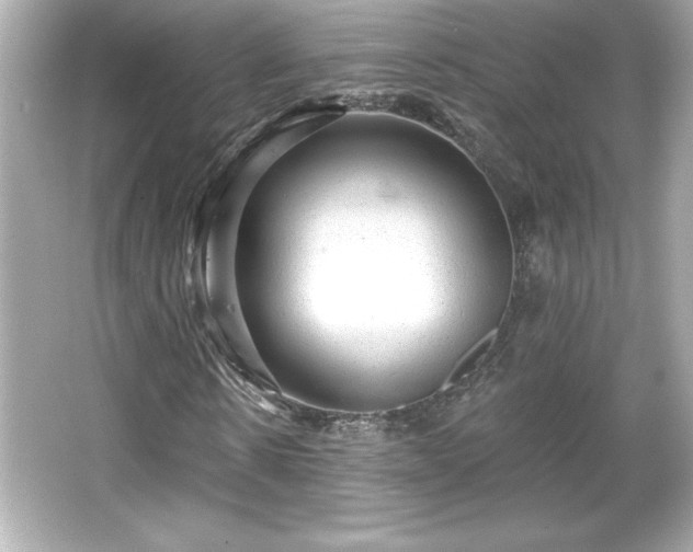 X0000066490914200603201253