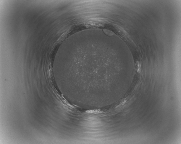 X0000066490915200603201253