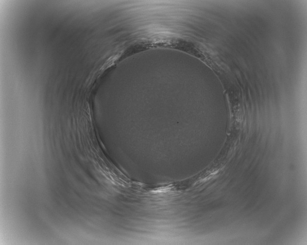 X0000066490916200603201253
