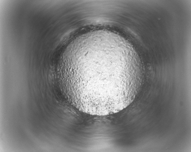 X0000066490918200603201253