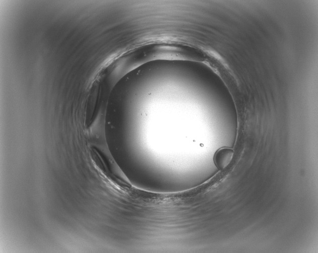 X0000066490922200603201253