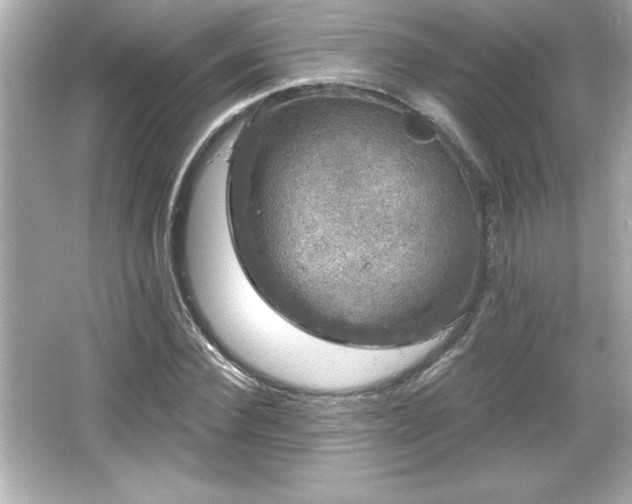 X0000066490924200603201253