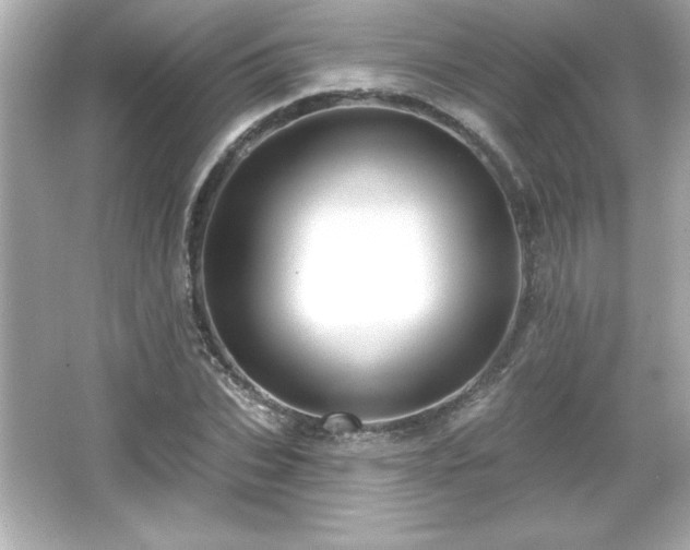 X0000066490927200603201253