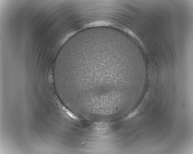X0000066490929200603201253