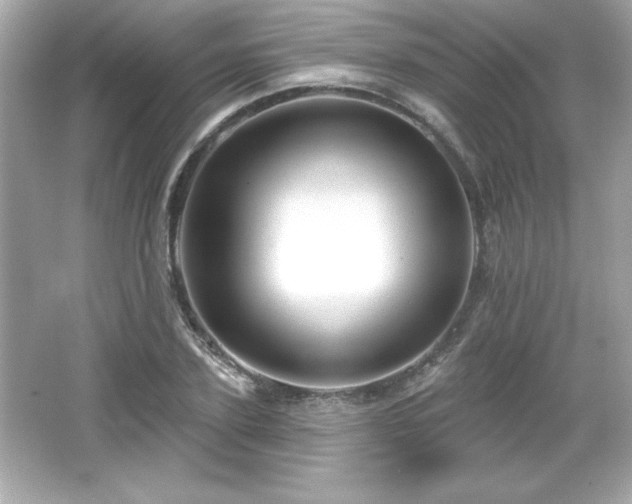 X0000066490931200603201253