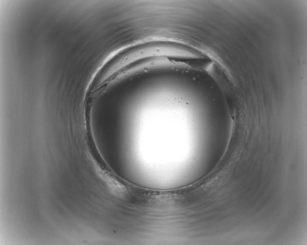 X0000066490934200603201253