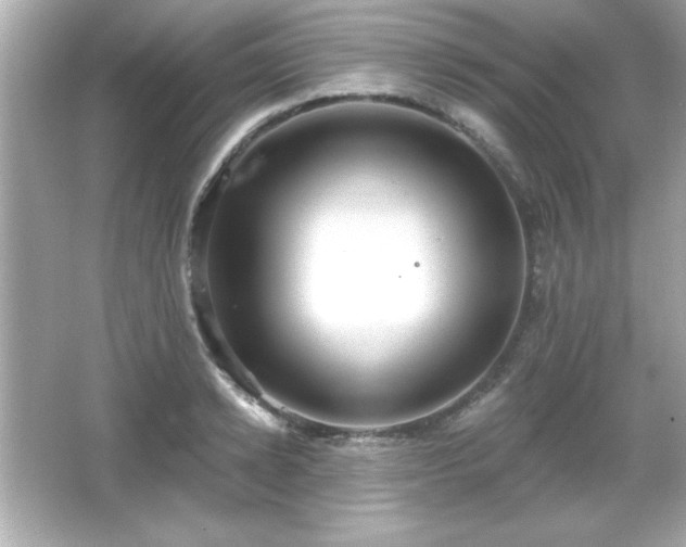 X0000066490942200603201253