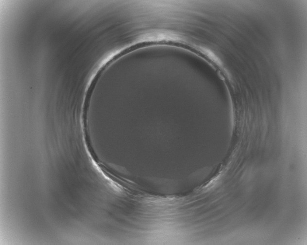 X0000066490943200603201253